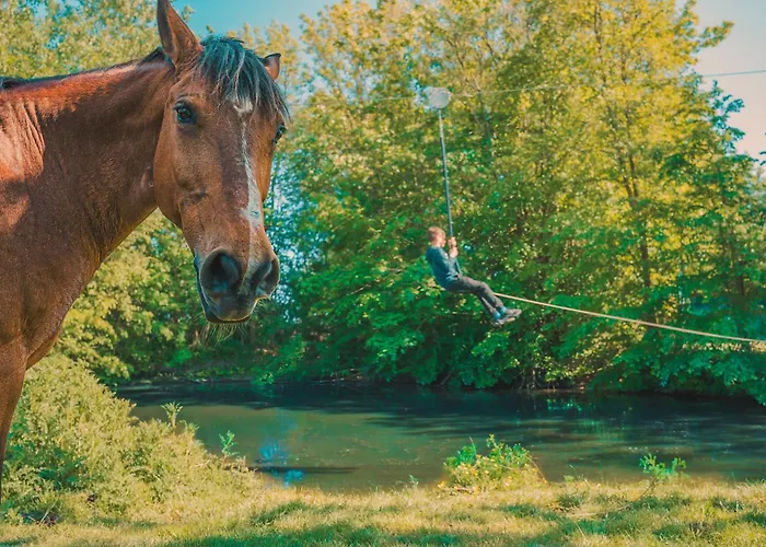 Brise * Westermarkelsdorf